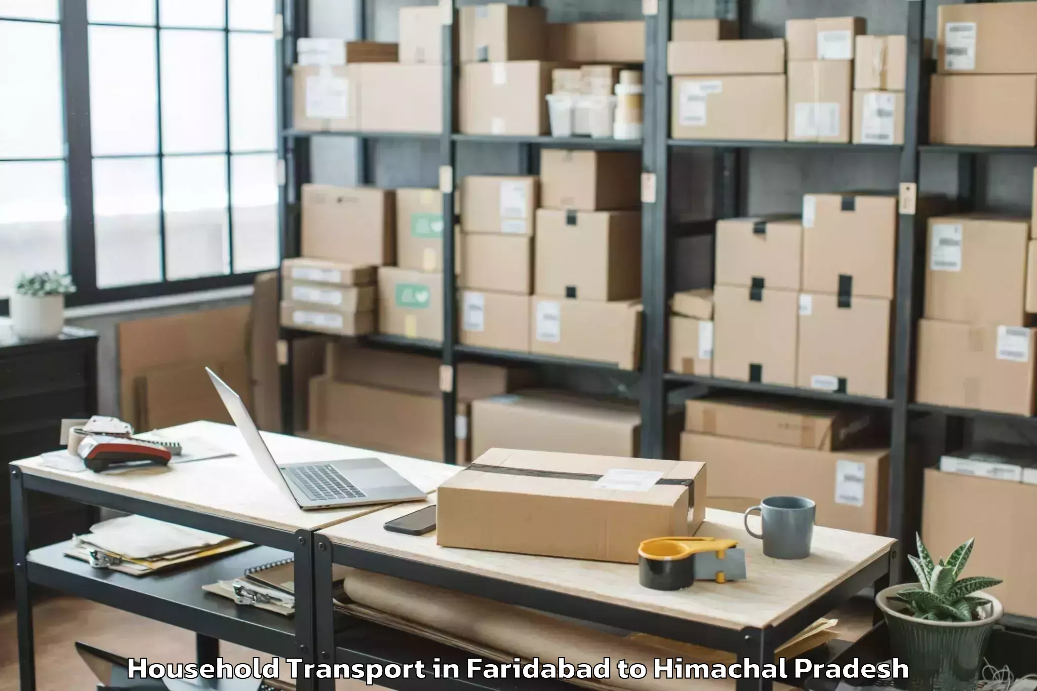 Professional Faridabad to Baddi Household Transport